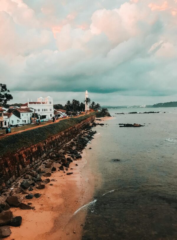 pexels-shainee-2933943