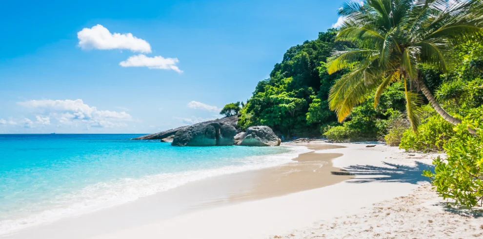 Sri Lanka Dreamscape: A 10-Day Private Car Tour of Culture, Heritage, and Natural Wonders