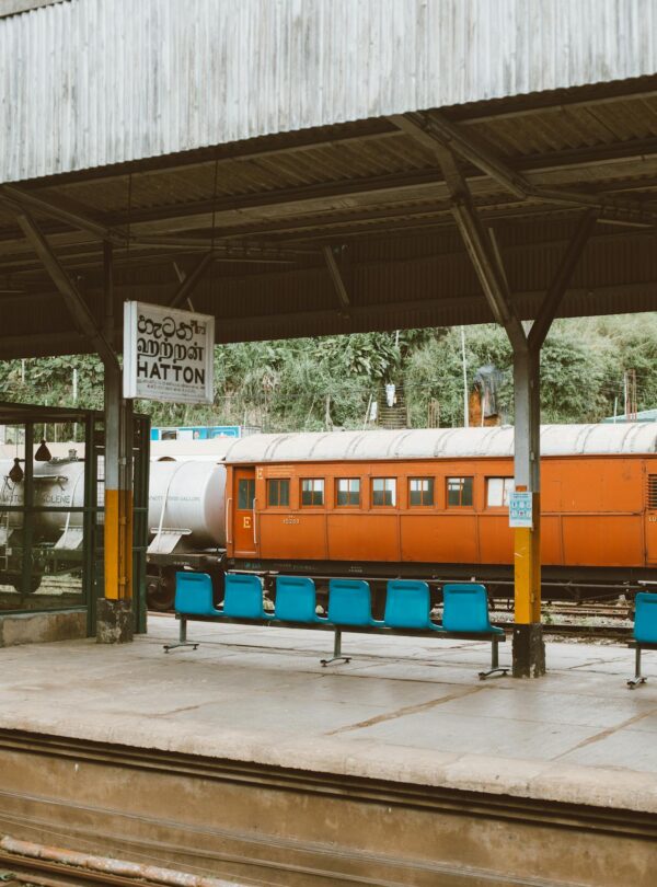 pexels-roman-odintsov-4555320