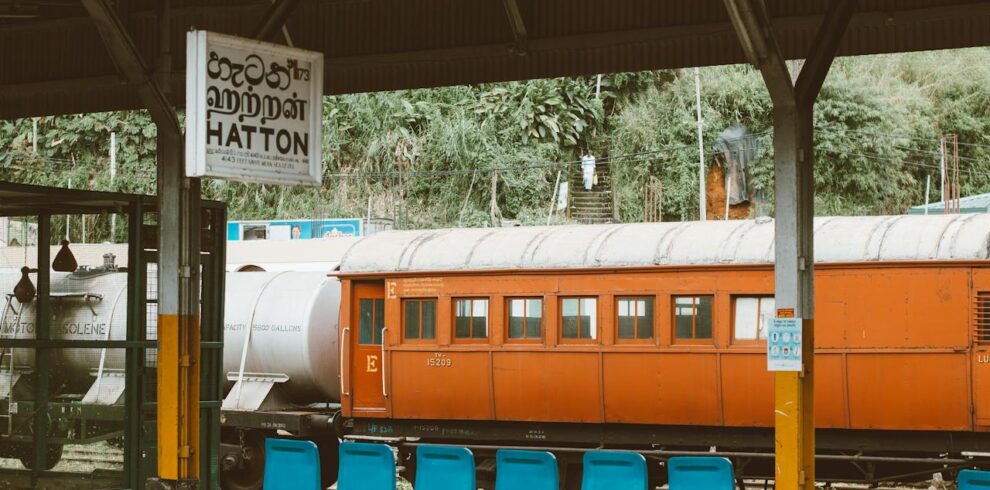 pexels-roman-odintsov-4555320